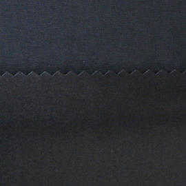 WATERPROOF / BREATHABLE LAMINATED FABRIC  V 2 LAYERS (WATERPROOF / BREATHABLE LAMINATED FABRIC  V 2 LAYERS)