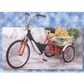 ELECTRIC TRICYCLE (ЭЛЕКТРИЧЕСКИЕ трехколесный велосипед)