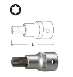 Torx Socket Bits (Torx Socket Bits)