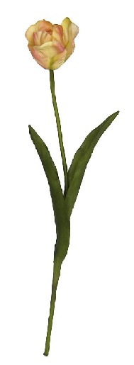 Tulip Spray- 27``
