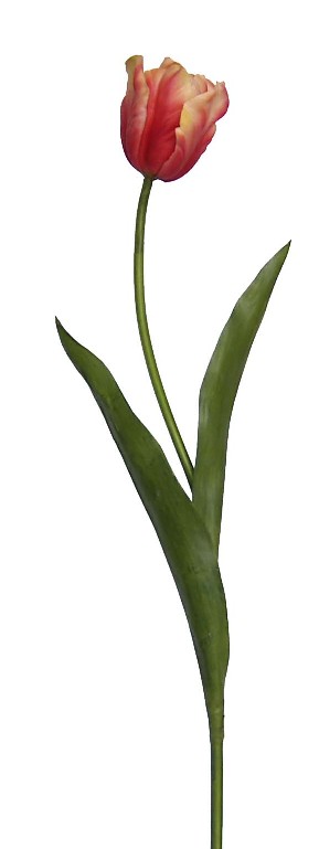 Tulip Spray- 27``