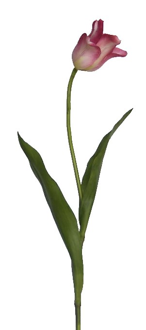 Tulip Spray- 27``