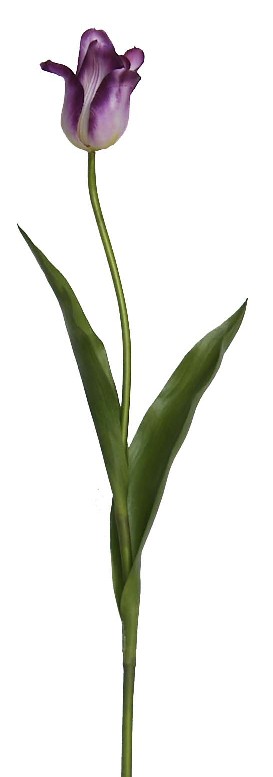Tulip Spray- 27``