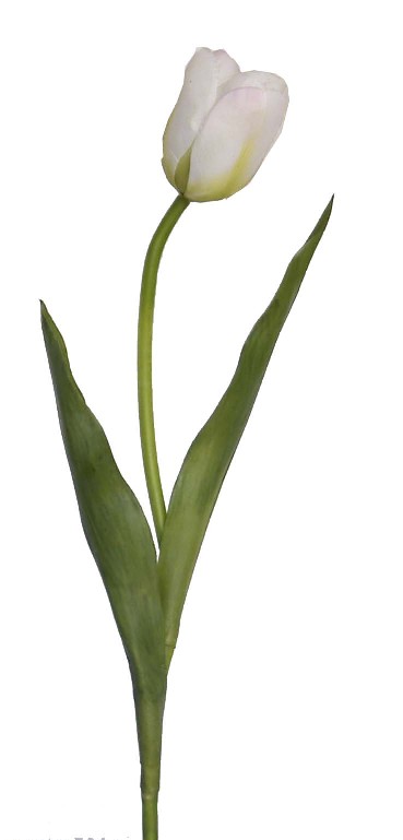 Tulip Spray- 17`` (Tulip Spray-17``)