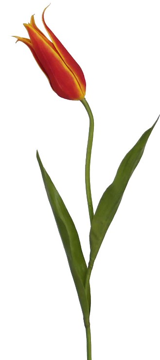 Tulip Spray- 23``