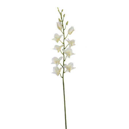 Dendrobium Spray- 38``