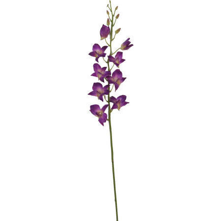 Dendrobium Spray- 38``