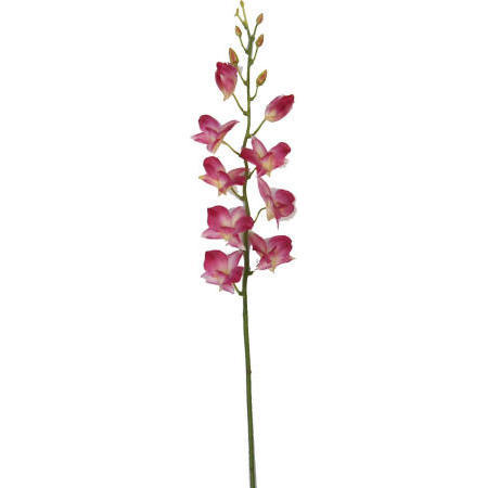 Dendrobium Spray- 38`` (Dendrobium Spray- 38``)