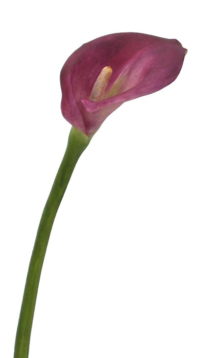 Calla Lily Spray- 29`` (Calla Lily Spray- 29``)