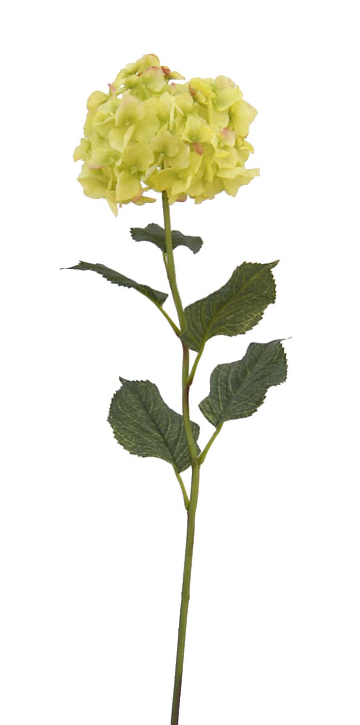 Hydrangea Spray- 32``