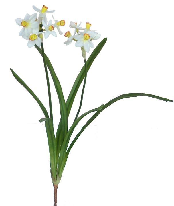 Narcissus Spray- 19``