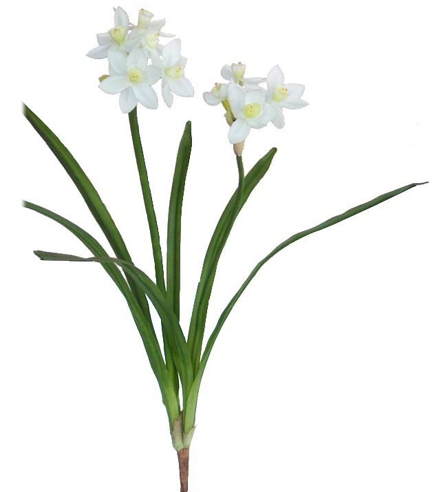 Narcissus Spray- 19``