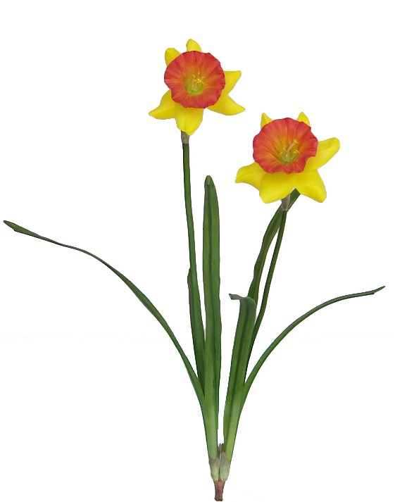 Narcissus Spray- 19``