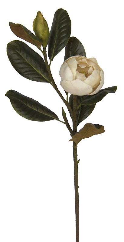 Magnolia Bud Spray- 34`` (Magnolia Bud Spray- 34``)