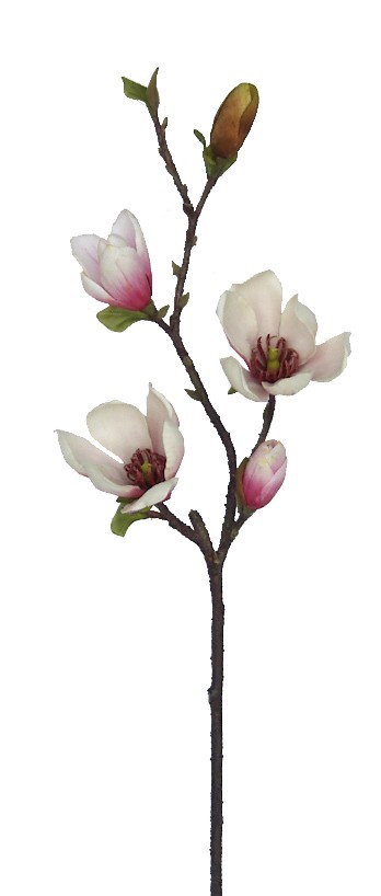 Magnolia Bud Spray- 34`` (Magnolia Bud Spray- 34``)