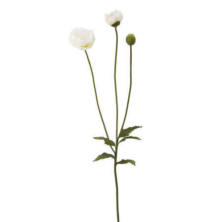 Poppy Spray-32`` (Poppy Spray-32``)