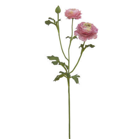 Ranunculus Spray-26``