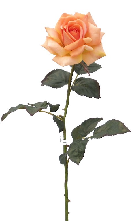 Rose Spray- 30`` (Rose Spray- 30``)
