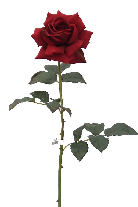 Rose Spray- 30`` (Rose Spray- 30``)