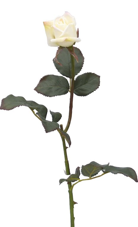 Rose Bud Spray- 30`` (Rose Bud Spray-30``)