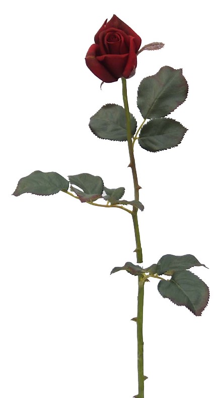Rose Bud Spray- 30`` (Rose Bud Spray-30``)