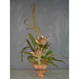 32``H POTTED PROTEA & HORSE TAIL (32``H POTTED PROTEA & HORSE TAIL)