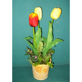 19``H POTTED TULIP