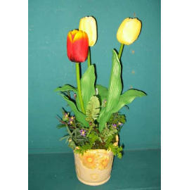 19``H POTTED TULIP (19``H eingetopften Tulpe)