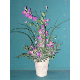 22``H POTTED SWEET PEA (22``H EMPOTE SWEET PEA)