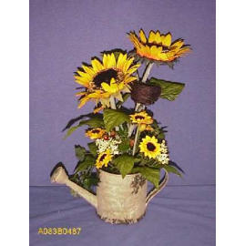 SUNFLOWER POTTED (TOURNESOL EMPOTE)