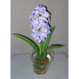 11``H POTTED HYACINTH (11``H EMPOTE JACINTHE)