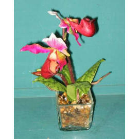 8``H POTTED SLIPPER ORCHID