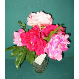 10``H POTTED PEONY IN GLASS VASE (10``H горшках PEONY в стеклянной вазе)