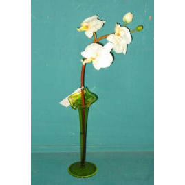 16``H PHALAENOPSIS IN GLASS VASE (16``H PHALAENOPSIS EN VERRE VASE)