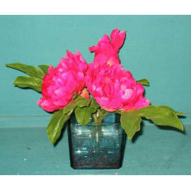 6.5``H POTTED PEONY W/GLASS POT