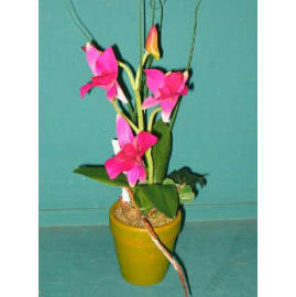 9``H POTTED MINI DENDROBIUM (9``H горшках MINI Dendrobium)