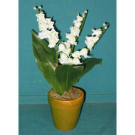 9``H POTTED MINI LILY OF VALLEY (9``H EMPOTE MINI LYS DE LA VALLÉE)