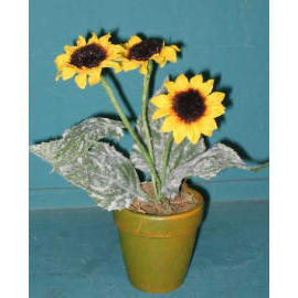 9``H POTTED MINI SUNFLOWER (9``H горшках MINI ПОДСОЛНЕЧНИК)