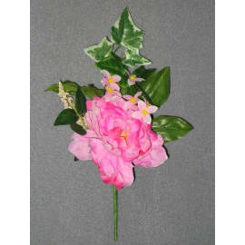 10``L PEONY PICK (10``L PIVOINE PICK)