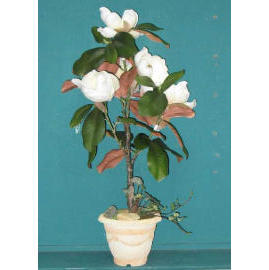 30``H MAGNOLIA IN POT (30``H MAGNOLIA В игре)