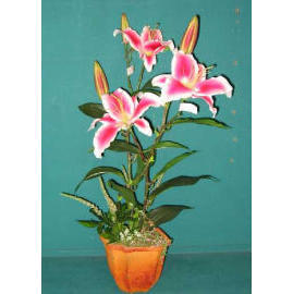 25``H LILY IN POT