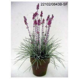 POTTED FLOWER LAVENDER (POT DE FLEURS DE LAVANDE)