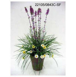 POTTED FLOWER LAVENDER (POTTED FLOWER LAVENDER)