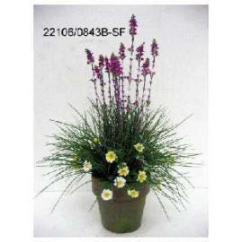 POTTED FLOWER LAVENDER (POTTED FLOWER LAVENDER)