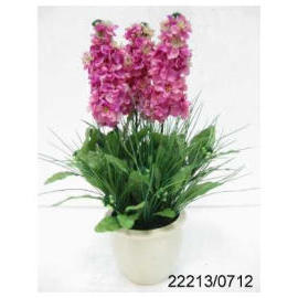POTTED FLOWER STOCK (POTTED FLOWER STOCK)