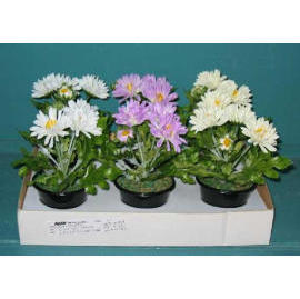 6``H MINI POTTED DAISY (6``H MINI POTTED DAISY)