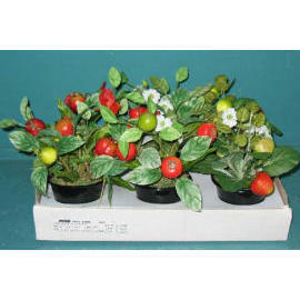 7``H MINI POTTED FRUIT (7``H MINI POTTED FRUIT)