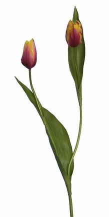 Tulip Bud Spray- 22`` (Tulip Bud Spray-22``)