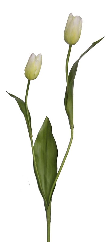 Tulip Bud Spray- 22`` (Tulip Bud Spray-22``)