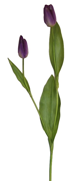 Tulip Bud Spray- 22`` (Tulip Bud Spray-22``)
